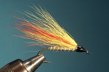 MickeyFinn-