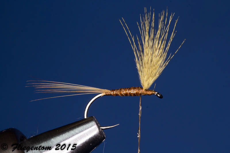 Body Quill Dun - K�rper