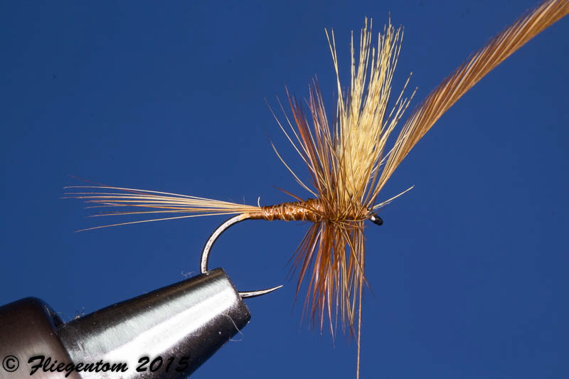 Body Quill Dun - Hechel einbinden