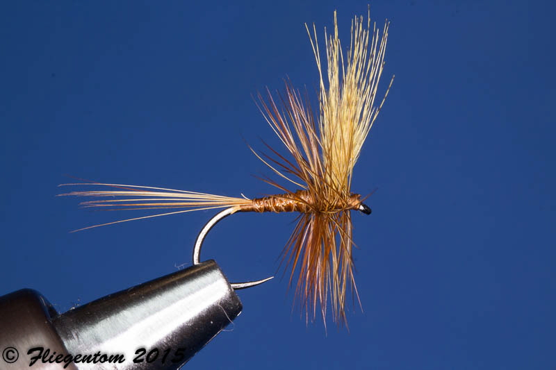 Body Quill Dun - Fertig