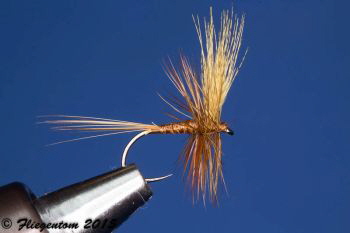 Body Quill Dun