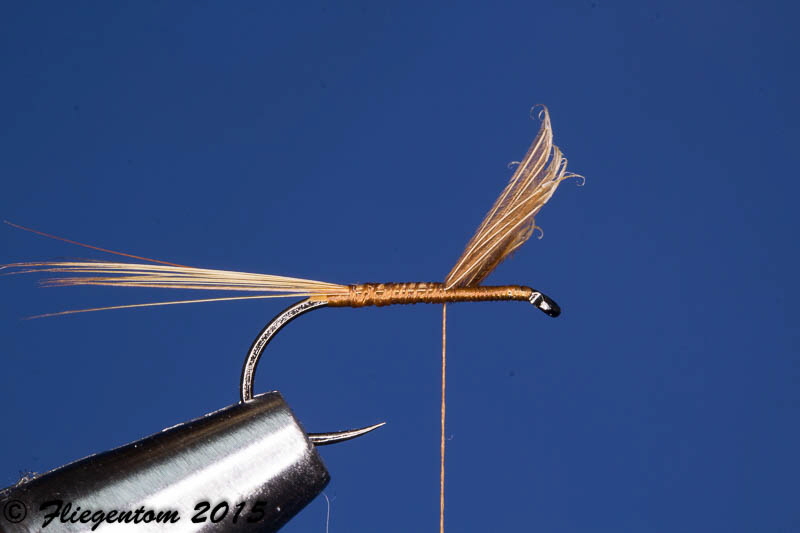 Body Quill Dun - Unterk�rper