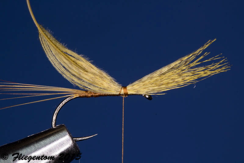 Body Quill Dun - Fl�gel fixieren
