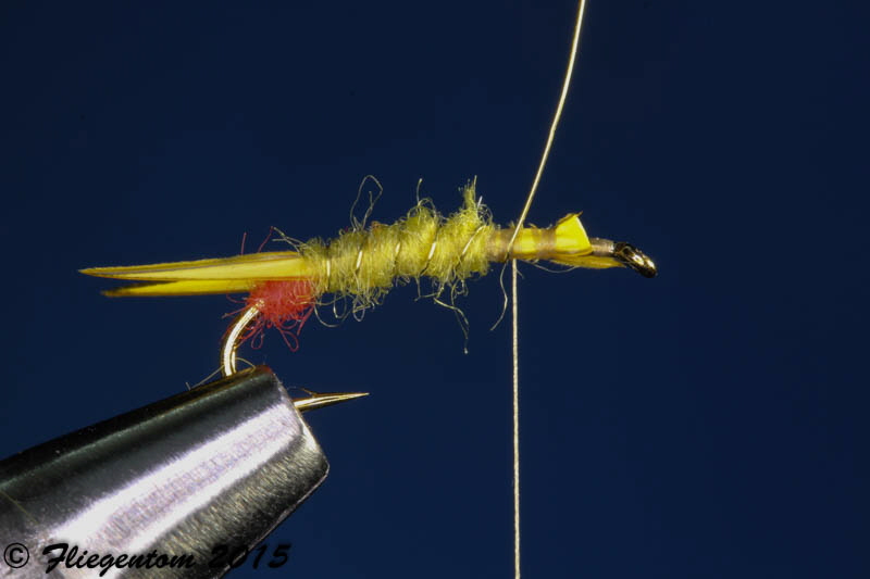 Yellow Sally - K�rper rippen