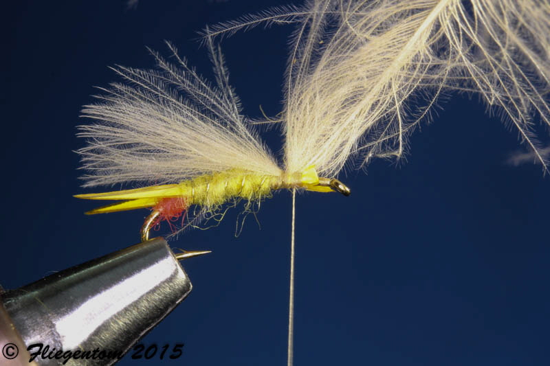 Yellow Sally - Fl�gel ausrichten