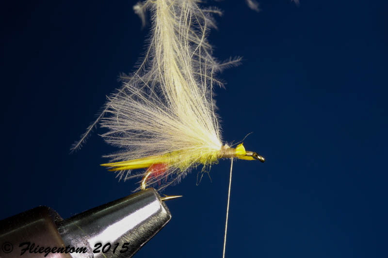 Yellow Sally - CDC- abbinden