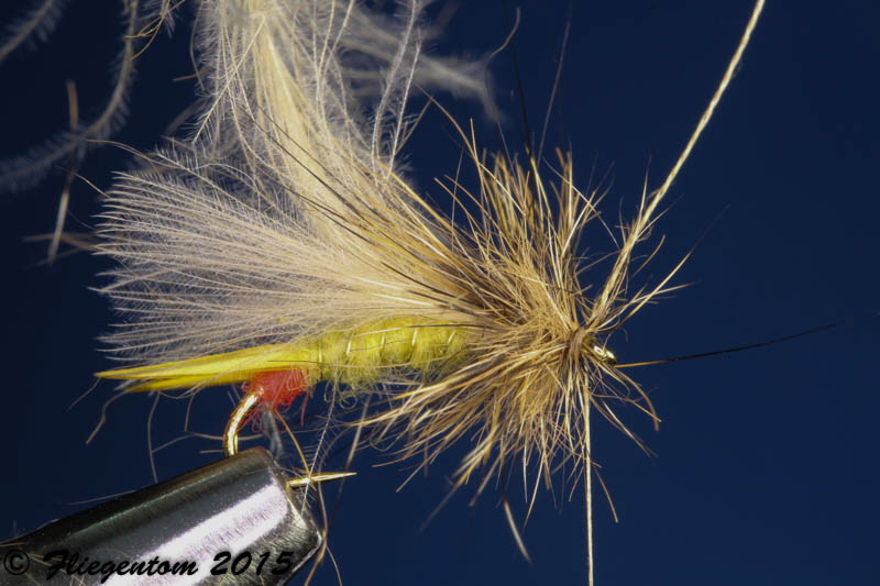 Yellow Sally - Hechel binden