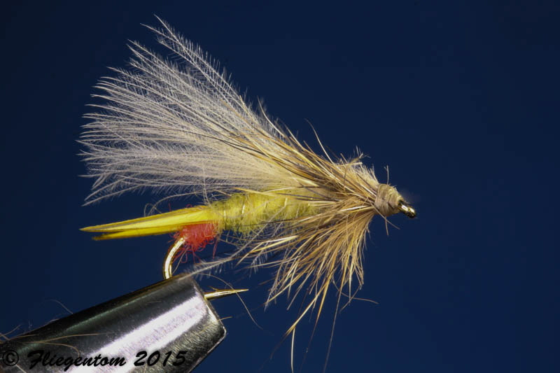 Yellow Sally - fertig