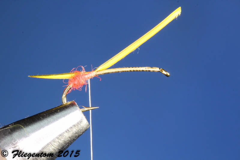 Yellow Sally - erstes Schw�nzchen