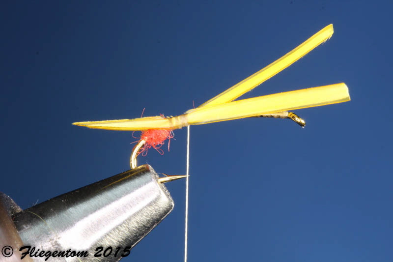 Yellow Sally - Zweites Schw�nzchen