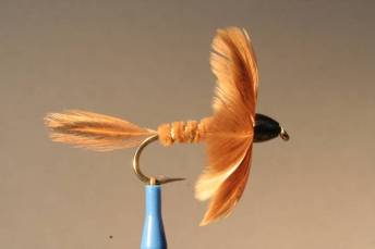 Polypen Fliege aus Hennenfedern