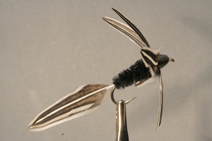 Polypen-Fliege aus Jungle Cock Federn